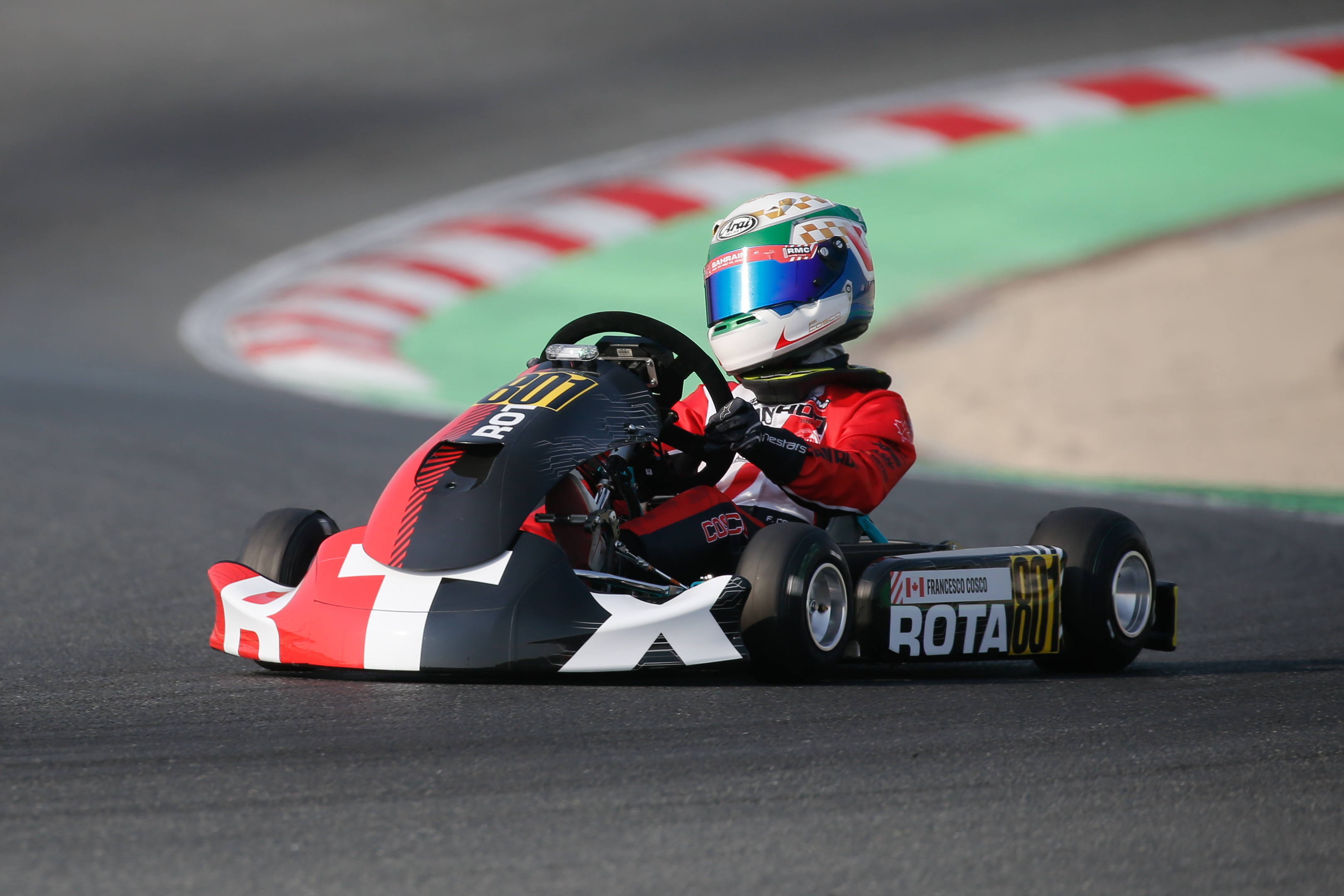 ROTAX E10